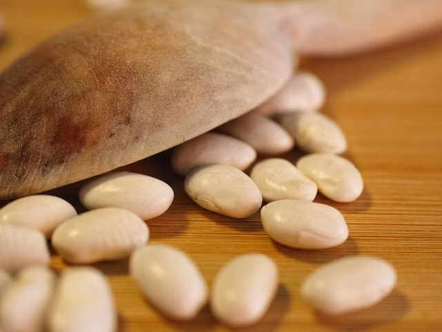 24 of the Healthiest Beans Ranked by Nutrient Density