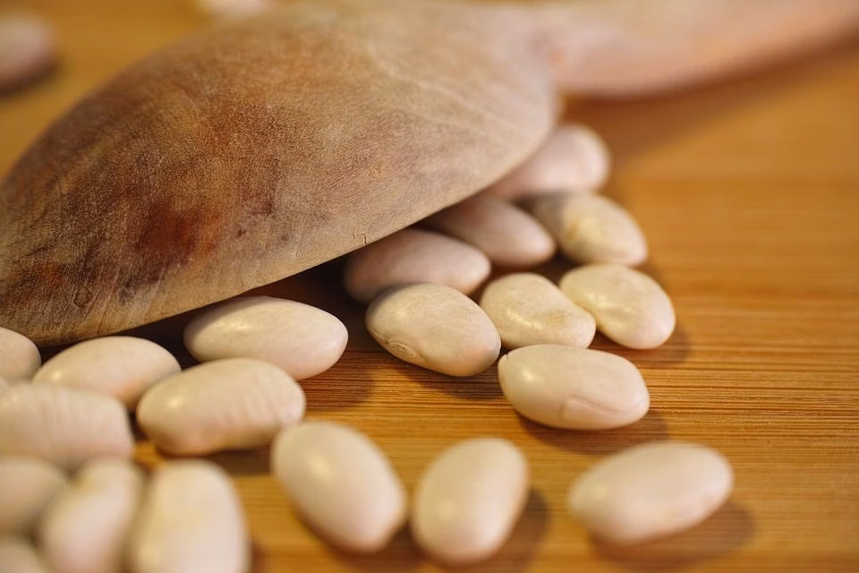 24 of the Healthiest Beans Ranked by Nutrient Density