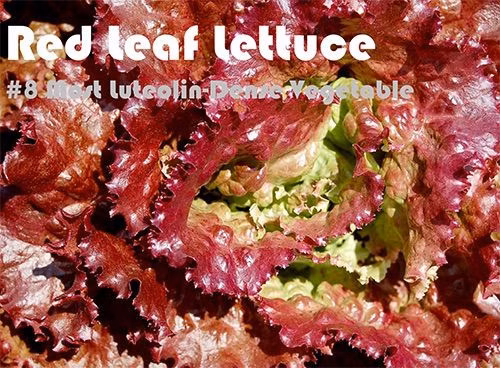 37 Luteolin Rich Foods Ranked by Luteolin Density