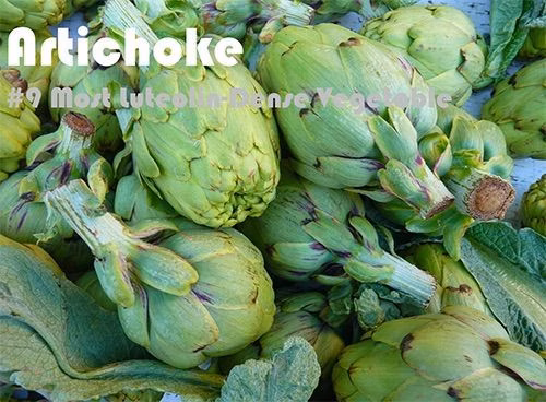 37 Luteolin Rich Foods Ranked by Luteolin Density
