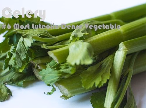 37 Luteolin Rich Foods Ranked by Luteolin Density