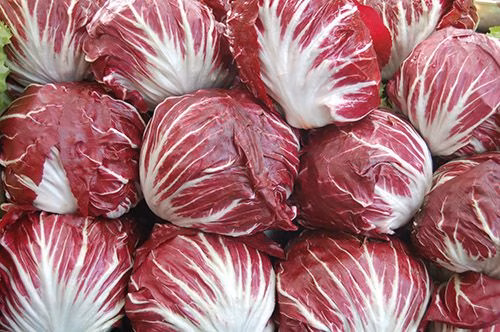 37 Luteolin Rich Foods Ranked by Luteolin Density