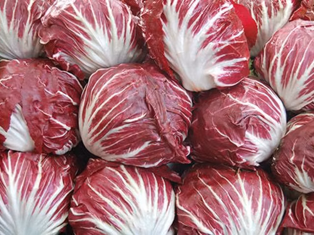 37 Luteolin Rich Foods Ranked by Luteolin Density
