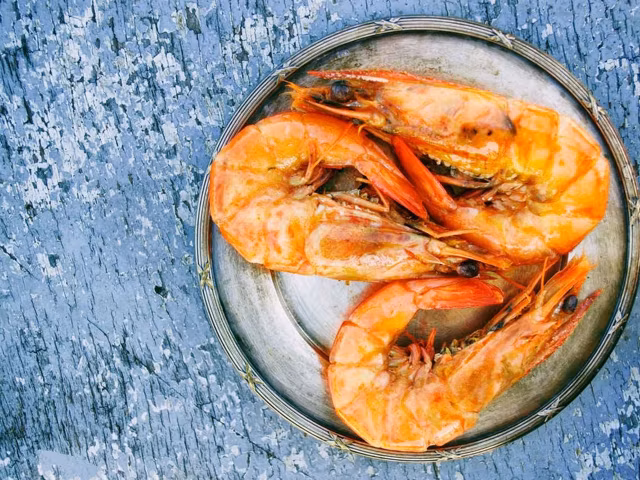 51 Most Protein Rich Foods (Ranked by Protein Density)