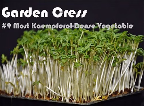 63 Kaempferol Rich Foods (Ranked)