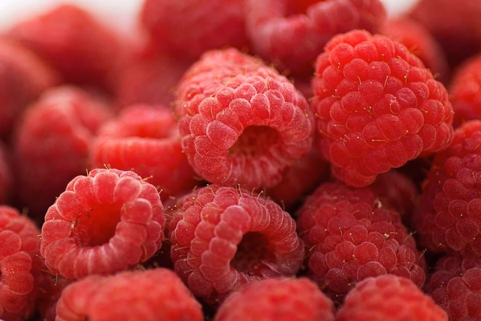 75 of the Healthiest Fruits Ranked from Best to Worst
