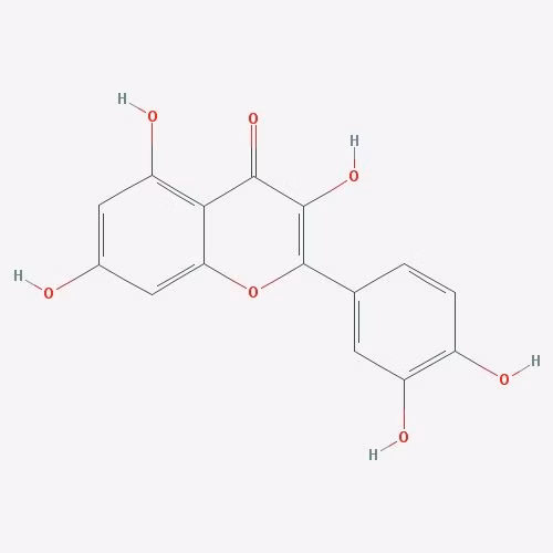93 Quercetin Rich Foods Ranked by Quercetin Density
