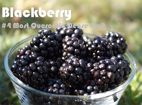 93 Quercetin Rich Foods Ranked by Quercetin Density