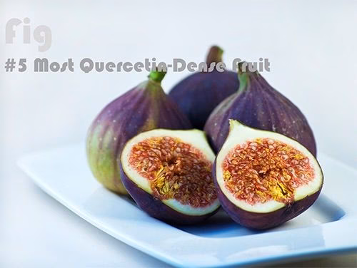 93 Quercetin Rich Foods Ranked by Quercetin Density