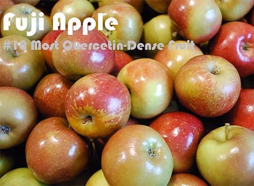 93 Quercetin Rich Foods Ranked by Quercetin Density