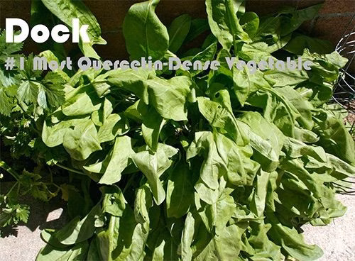 93 Quercetin Rich Foods Ranked by Quercetin Density