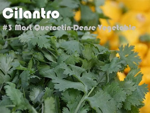 93 Quercetin Rich Foods Ranked by Quercetin Density