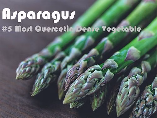 93 Quercetin Rich Foods Ranked by Quercetin Density