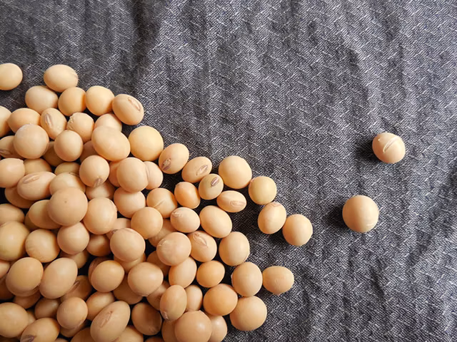 11 Daidzein Rich Foods Ranked