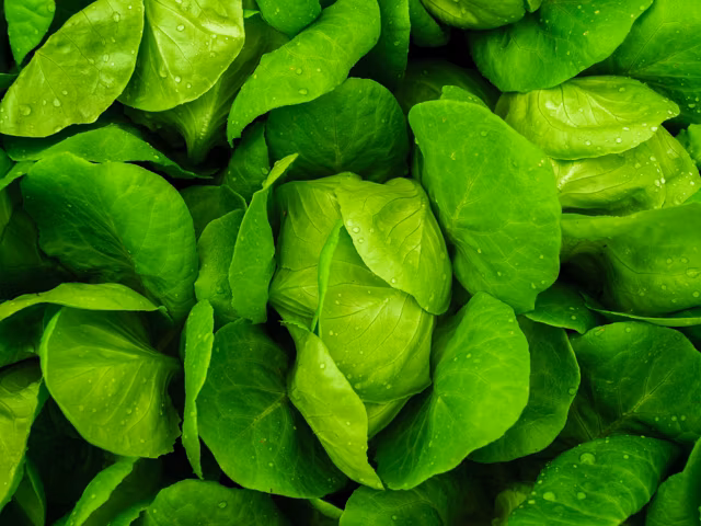 Foods High In Potassium (the Ultimate Ranking of Potassium Density)