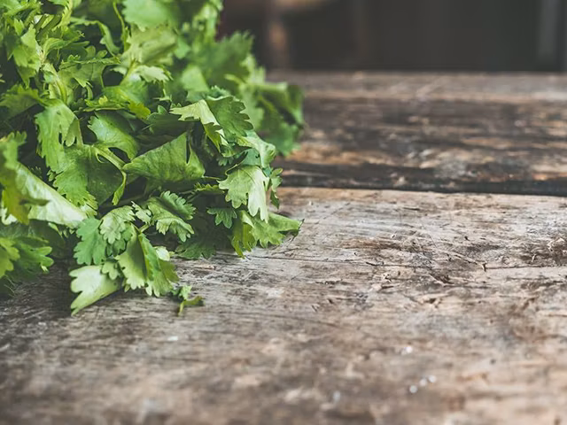 Healthiest Herb: The Math that Proves Which Herb is Healthiest