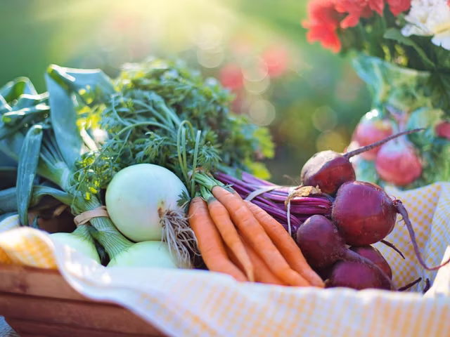 Lower Blood Pressure Naturally (without Drugs)