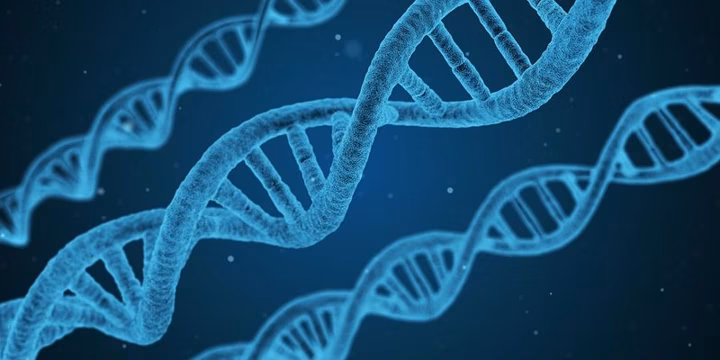 Nutrition Data: The Ultimate Guide to Personalized Nutrition