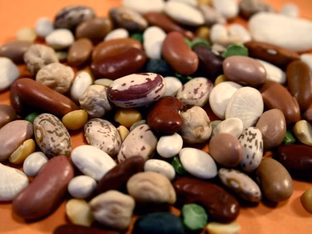 Potassium in Beans (24 Beans Ranked by Potassium Density)