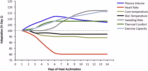 The Most Important Time to Focus on Heat and Hydration