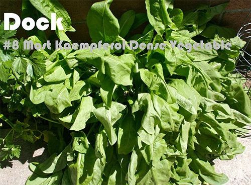 63 Kaempferol Rich Foods (Ranked)