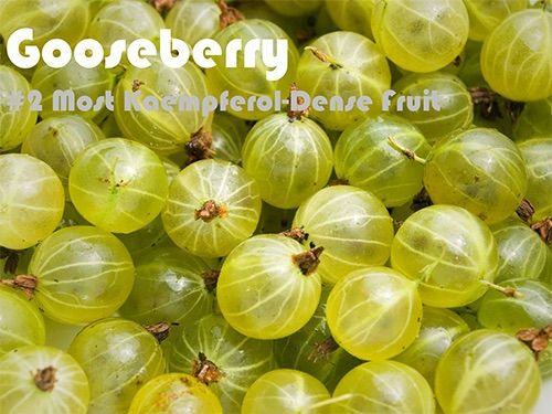 63 Kaempferol Rich Foods (Ranked)