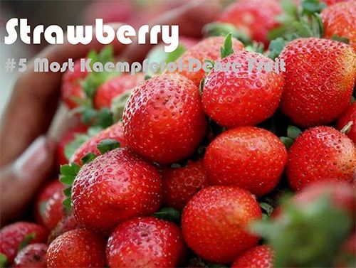 63 Kaempferol Rich Foods (Ranked)