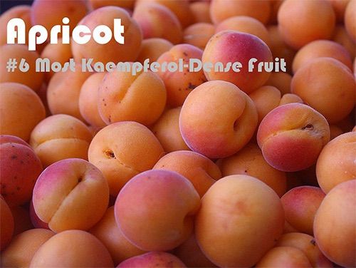 63 Kaempferol Rich Foods (Ranked)