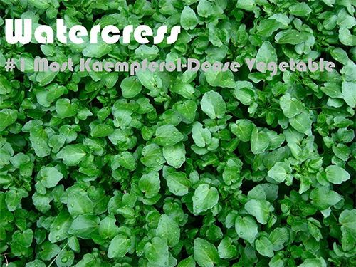 63 Kaempferol Rich Foods (Ranked)