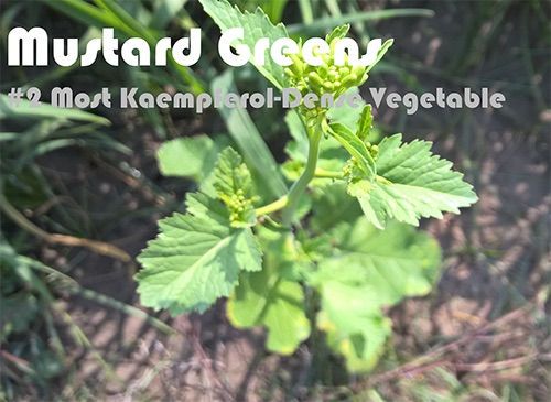 63 Kaempferol Rich Foods (Ranked)