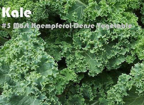 63 Kaempferol Rich Foods (Ranked)