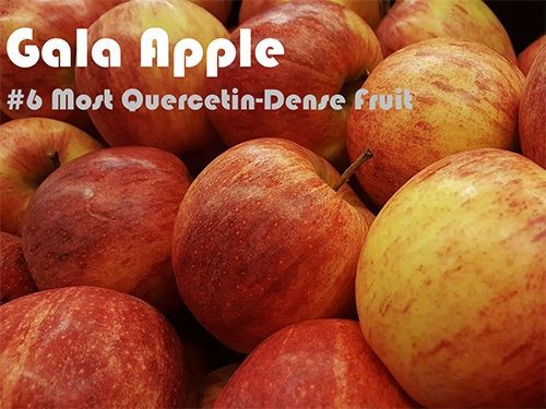 93 Quercetin Rich Foods Ranked by Quercetin Density