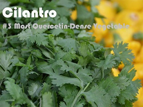 93 Quercetin Rich Foods Ranked by Quercetin Density