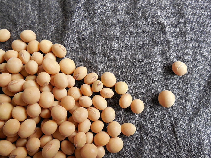 11 Daidzein Rich Foods Ranked