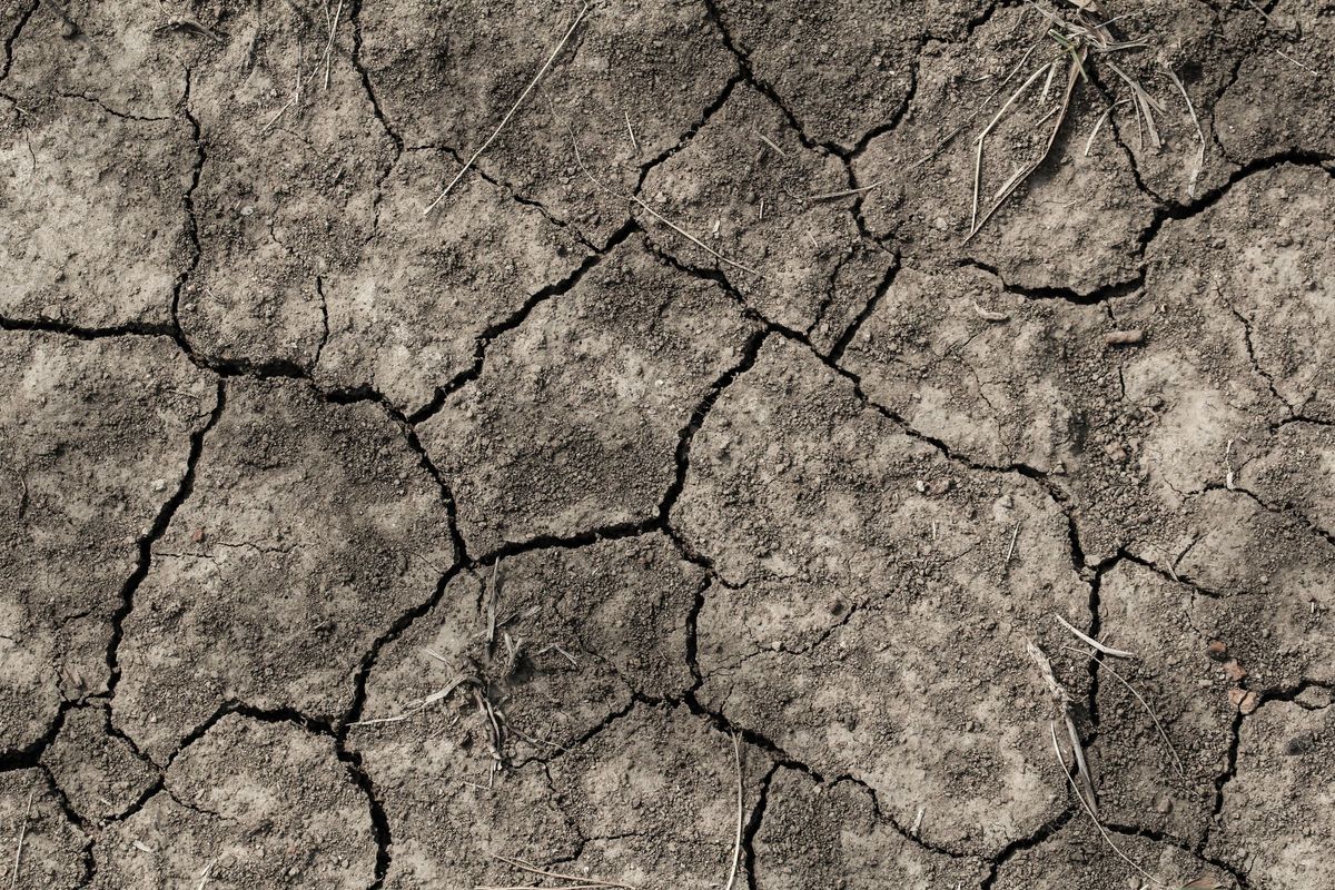 Diseases Caused by Dehydration