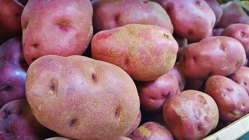 Healthiest Potatoes: 4 Varieties Ranked by Nutrient Density