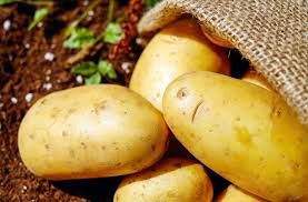 Healthiest Potatoes: 4 Varieties Ranked by Nutrient Density