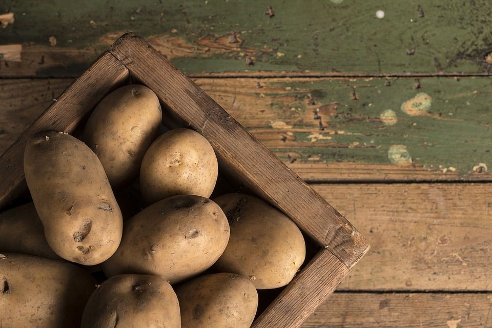 Healthiest Potatoes: 4 Varieties Ranked by Nutrient Density