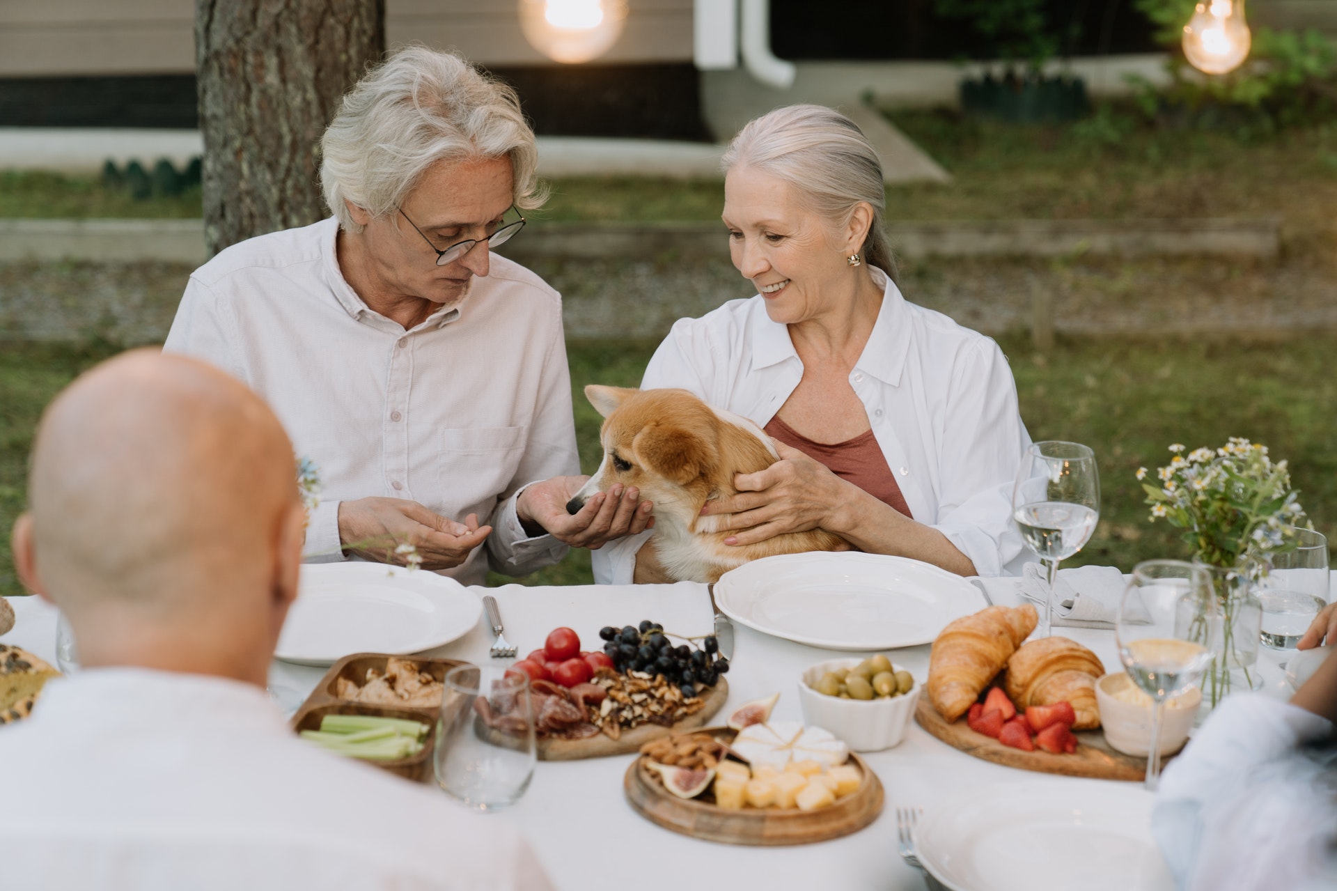 How to Identify Healthy Proteins for Seniors