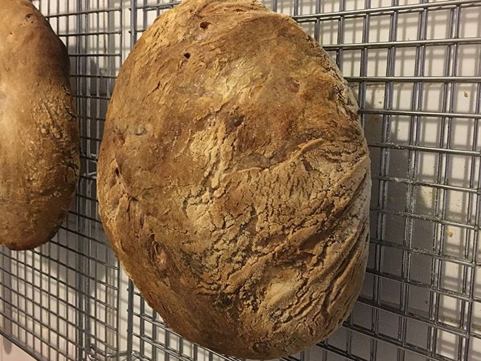 Ikarian Bread: How to Make Sourdough Bread
