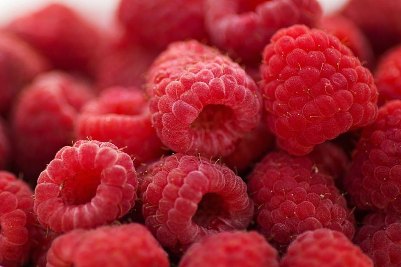 Nutrients in Berries: 9 Varieties Analyzed by Nutrient Quality
