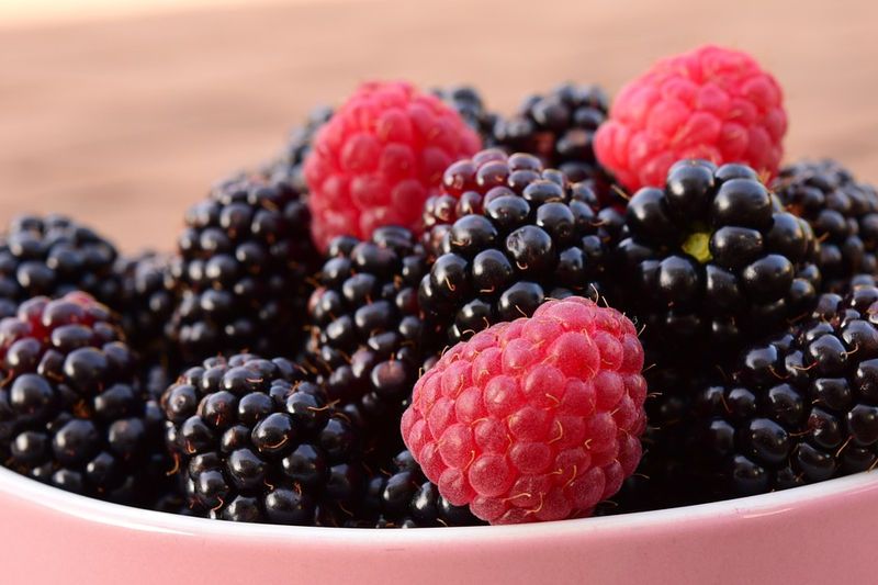 Nutrients in Berries: 9 Varieties Analyzed by Nutrient Quality