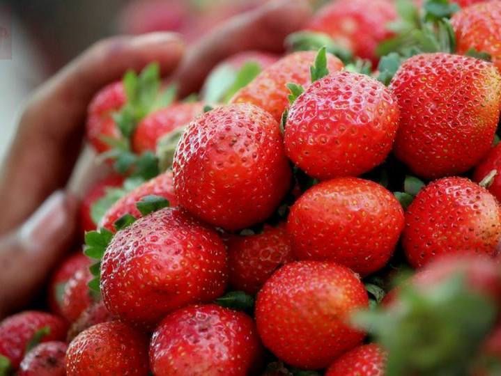 Nutrients in Berries: 9 Varieties Analyzed by Nutrient Quality