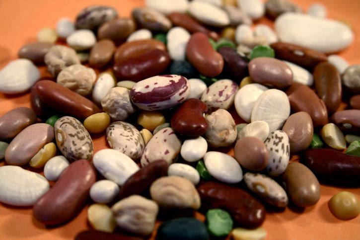 Potassium in Beans (24 Beans Ranked by Potassium Density)
