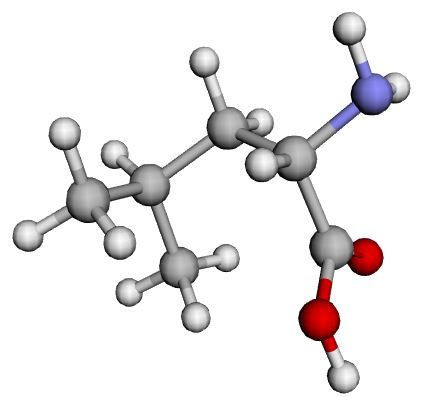 Weight Lifting and Protein Intake (Protein Requirements)