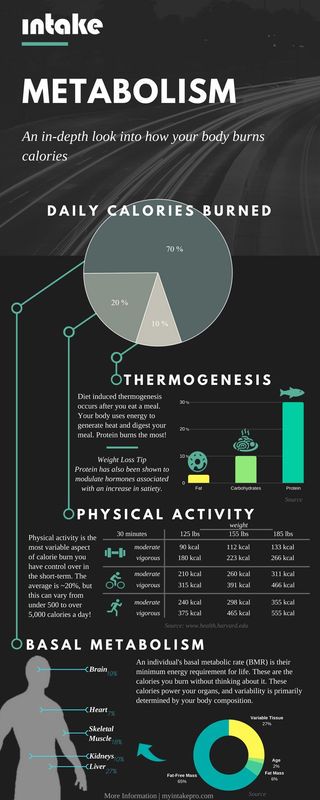 What is Metabolism? [Infographic]